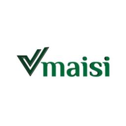 Vmaisi Safety logo